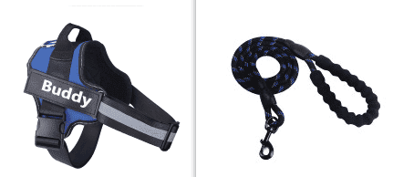 Fashion Simple Pet Leash Chest Strap Set (Option: Blue-XL)